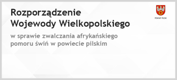 Działania związane z afrykańskim pomorem świń w powiecie pilskim