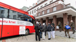 „Choinka dla Życia”