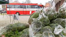 „Choinka dla Życia”