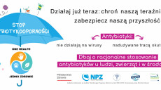 Europejski Dzień Wiedzy o Antybiotykach